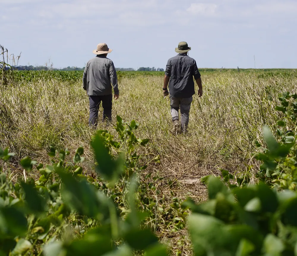 Programa Agro